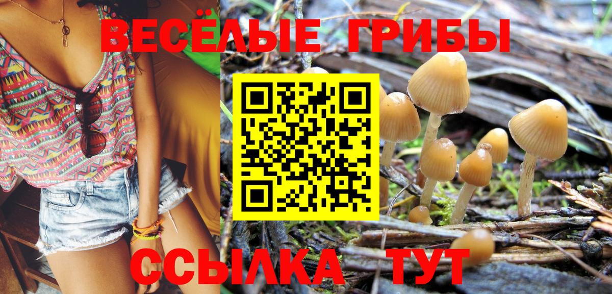 Краснодар  Галлюциногенные грибы Magic Shrooms  Вход с VPN  дарнет шоп  Галлюциногенные грибы мицелий 