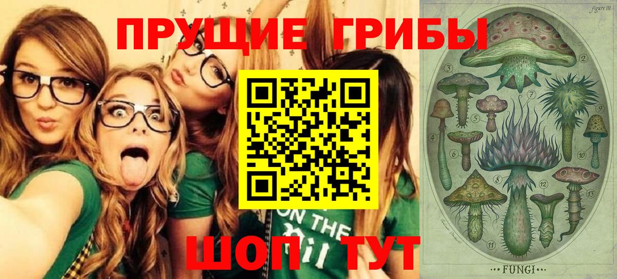 Галлюциногенные грибы Cubensis  Псилоцибиновые грибы Psilocybine cubensis  Краснодар 